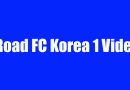 Road FC Korea 1