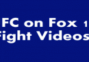 UFC on fox 10 fight videos and gifs