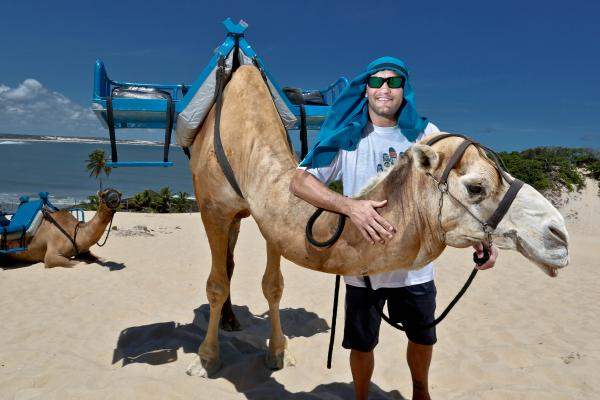 Hendo Brazil Camel