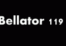 Bellator 119 Gifs