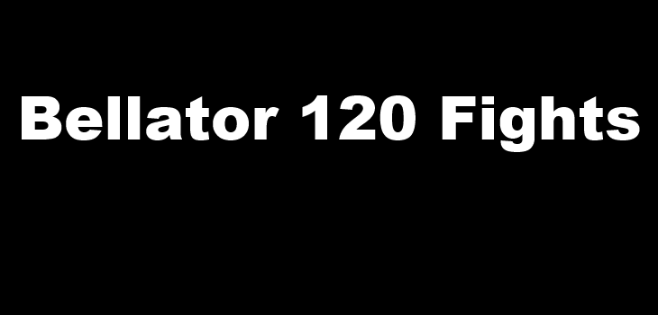 Bellator 120 fight videos