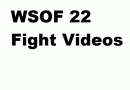 WSOF 22 Fight videos