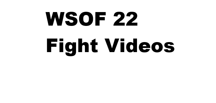 WSOF 22 Fight videos