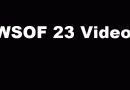 WSOF 23 fight videos