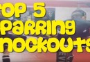 Top Sparring Knockouts