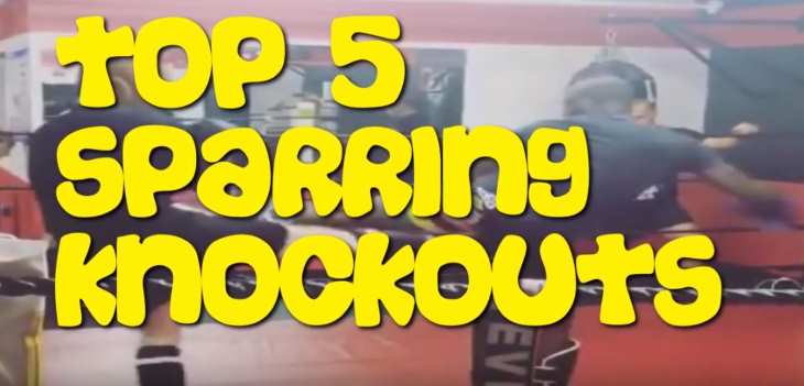 Top Sparring Knockouts