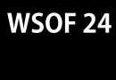 WSOF 24 fight videos