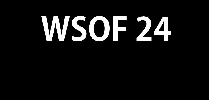 WSOF 24 fight videos